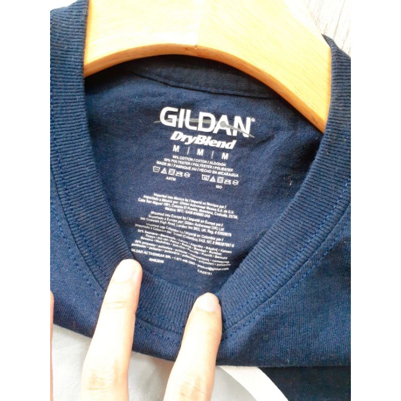 Áo thun si Gildan G2