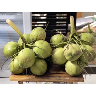 Dừa xiêm xanh bến tre