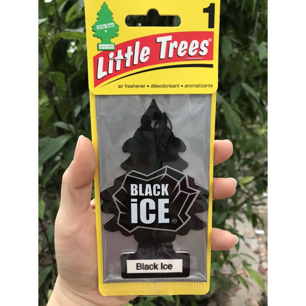 CÂY THÔNG THƠM LITTLE TREES BLACK ICE (MỸ)