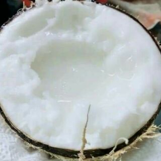 Dừa sáp
