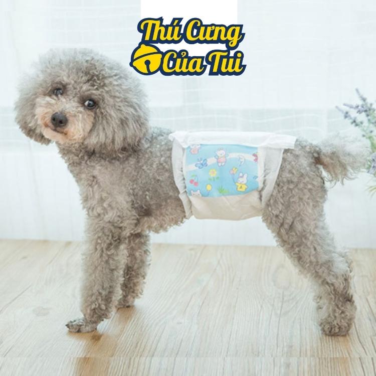 Lẻ Bỉm Cho Chó Đực - Tã Quấn Bụng Dono Disposale Diapers - Tả Lót Siêu Thấm Hút - Thú cưng của tui