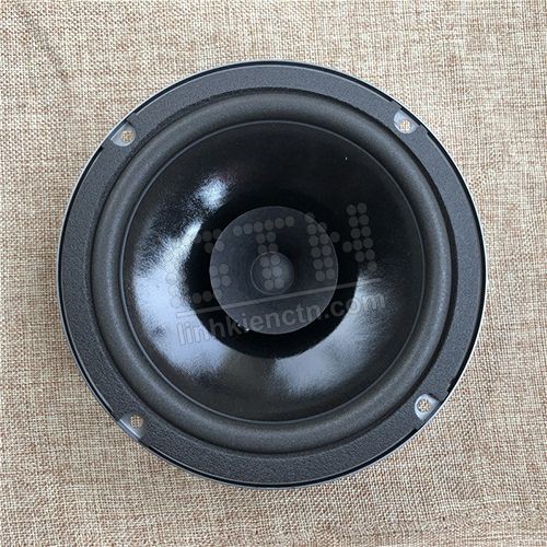 Loa toàn dải phễu 60W 6.5inch cao cấp Đan Mạch tháo xe hơi