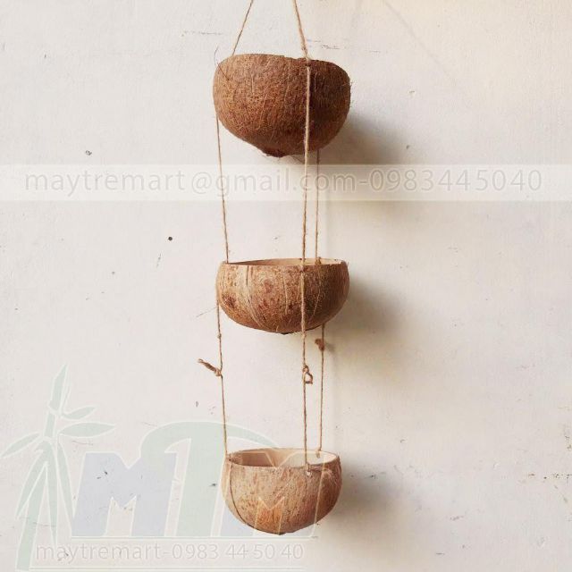 Chậu gáo dừa, dây gáo dừa treo trồng cây.
