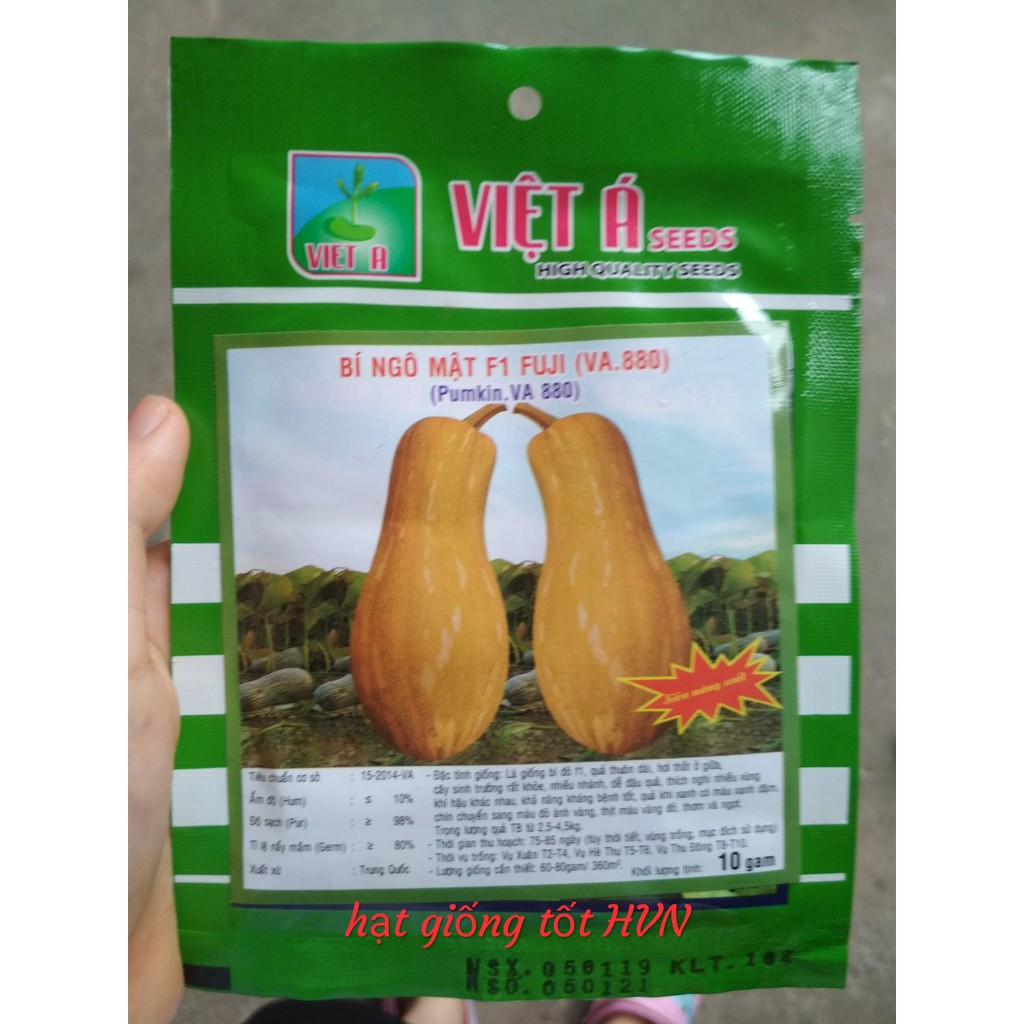 Hạt Giống Bí Ngô Mật Việt Á 10g