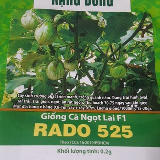 Hạt GIỐNG CÀ Ngọt Lai F1 Rado 525 (Cà Pháo Trứng), Trồng Quanh năm, Trái Ngon, GIÒN, Ngọt, Thu sau 70-75 Ngày
