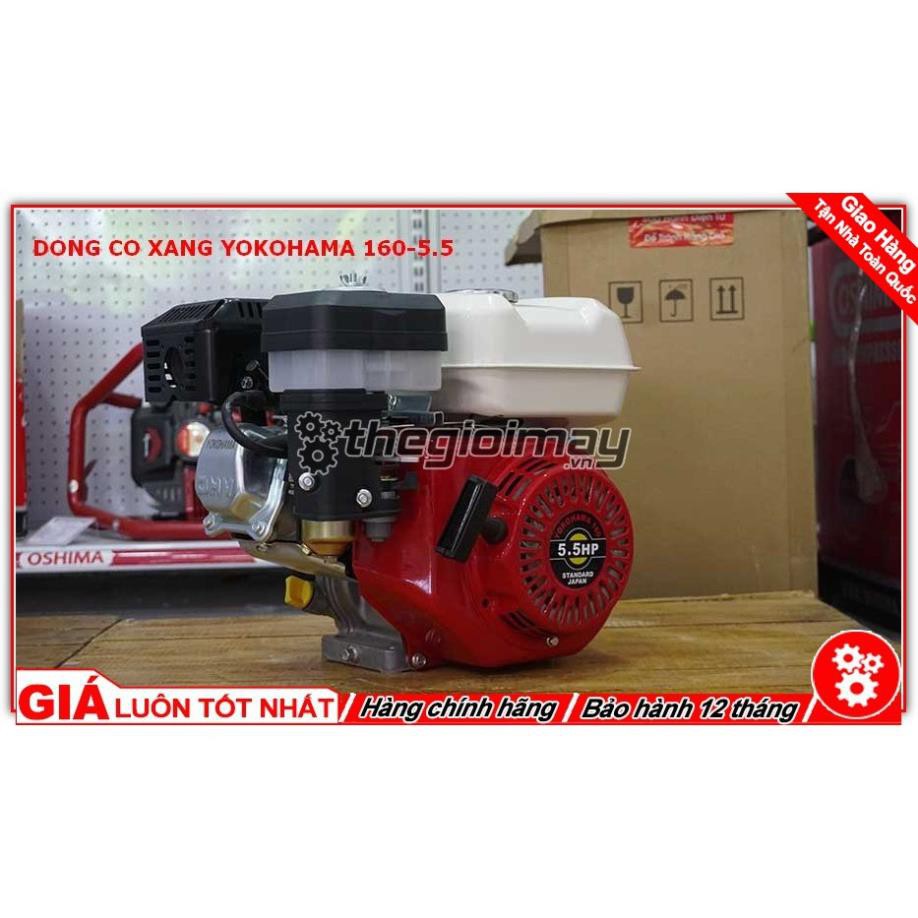 Máy Nổ Động Cơ Xăng Yokohama 5.5hp