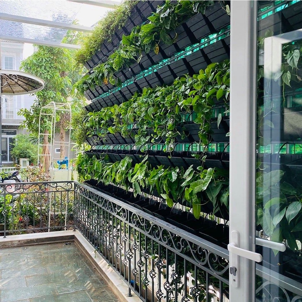 Bộ 1m2  vườn tường JupiWall-16: Chậu cỡ lớn, có lưới ngăn đất và tự trữ nước.
