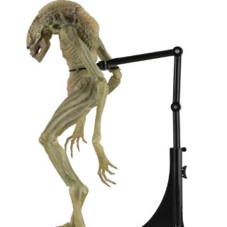 Mô hình Neca Deluxe Alien Newborn