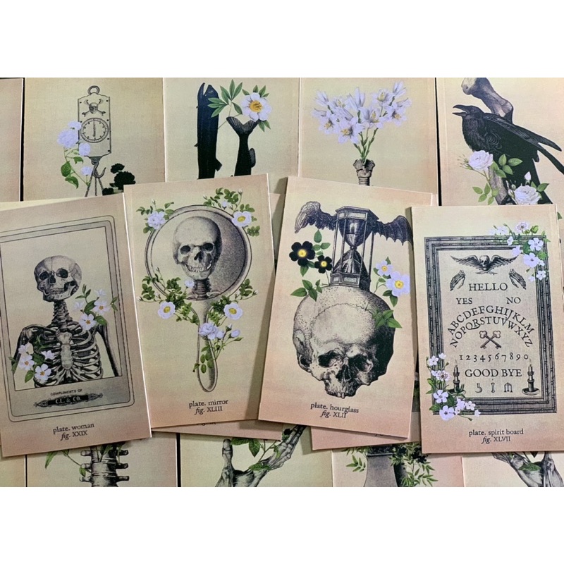 Bộ bài Memento Mori Oracle&Lenormand 85 lá