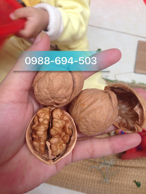 [Mã GROSALE2703 giảm 8% đơn 250K] Set 2kg óc chó thơm ngon ăn liền