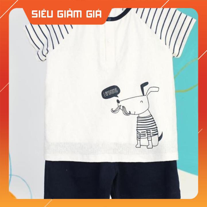 Lapome - bộ cộc vai kẻ