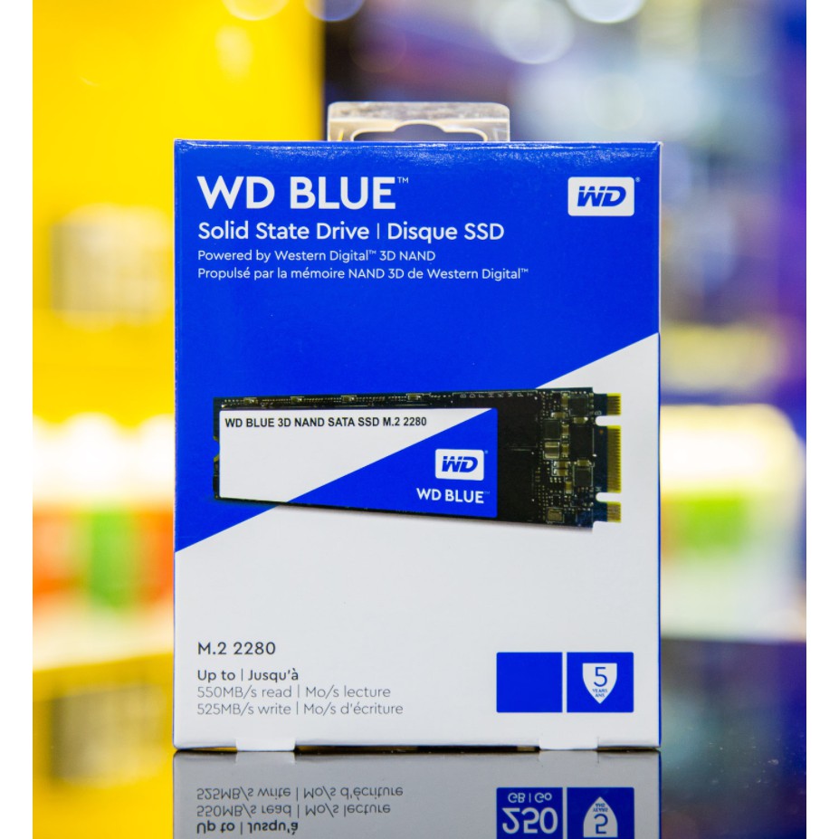 SSD Western 500GB M2 Sata 3 Blue_WDS500G2B0B Hãng - Chính Hãng - YourMemoryWorld