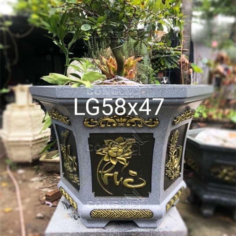 Khuôn chậu lục giác 58 Việt Nam Phúc Lộc Thọ và Thuyền