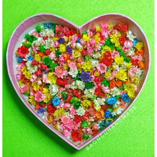  Hoa khô snowy trang trí resin đồ handmade 