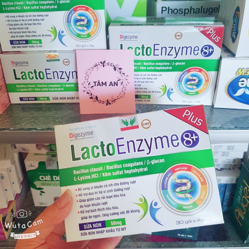 Men LACTO ENZYME 8+ - BỔ SUNG VI KHUẨN CÓ LỢI CHO ĐƯỜNG RUỘT