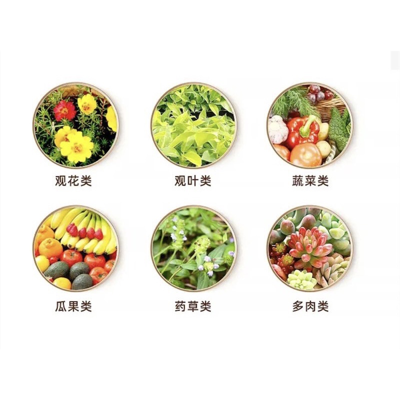 Gói 300g Phân bón tan chậm Dinh Dưỡng Vàng cho Hoa, Cây trồng chậu