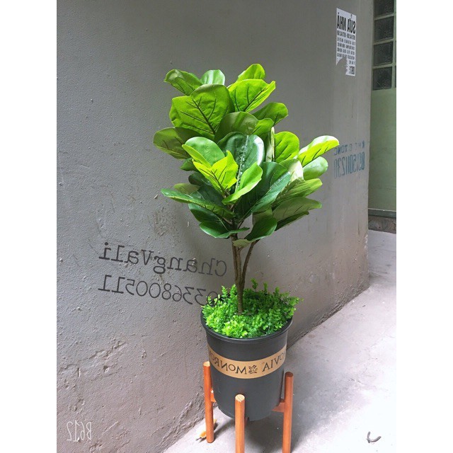 Chậu nhựa trồng cây size lớn kiểu dáng vintage in chữ