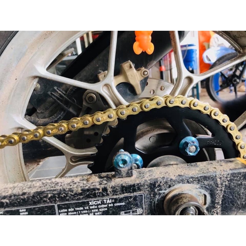 NHÔNG SÊN DĨA 9li REDLEO WINNER