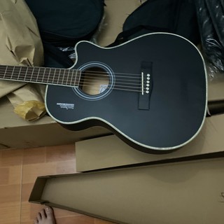Guitar Rosen G11