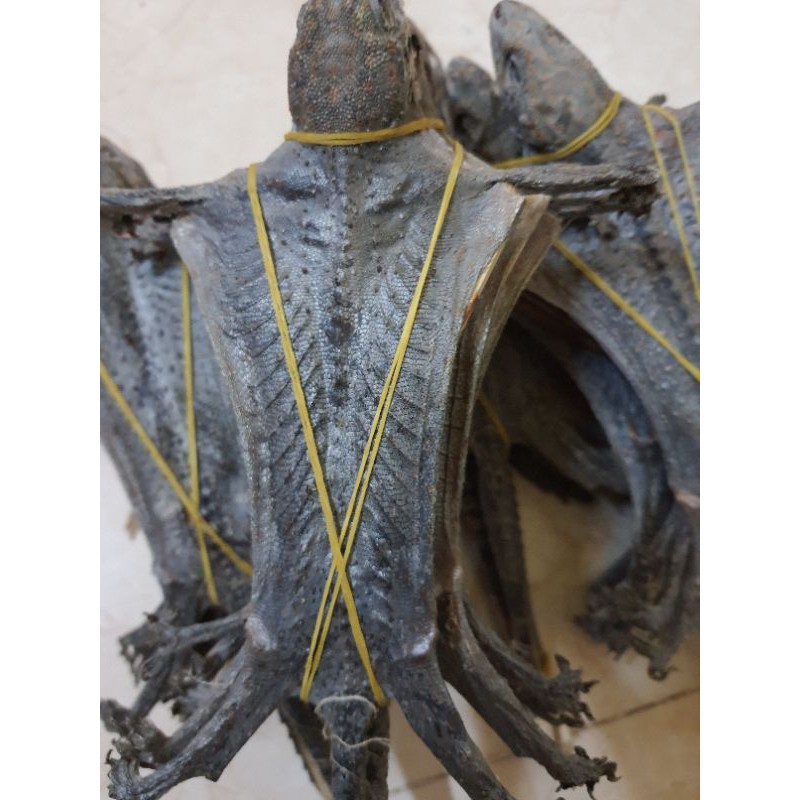 Tắc kè khô/1 con to | BigBuy360 - bigbuy360.vn