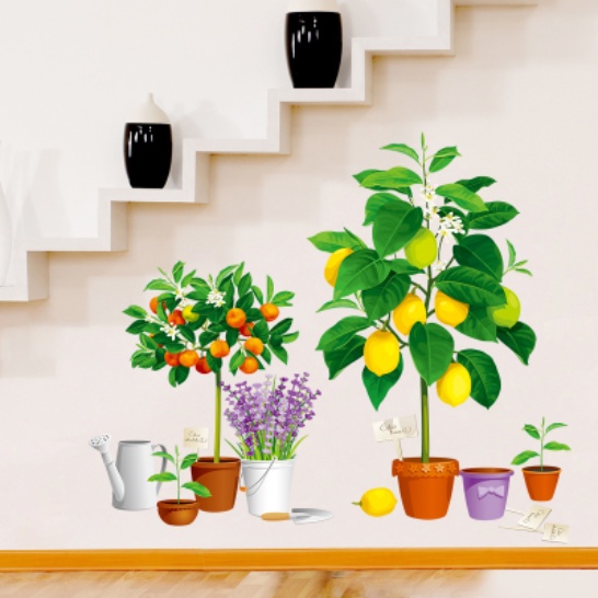 Decal trang trí tường - Những chậu cây ăn quả