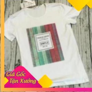 Áo phông nam cotton