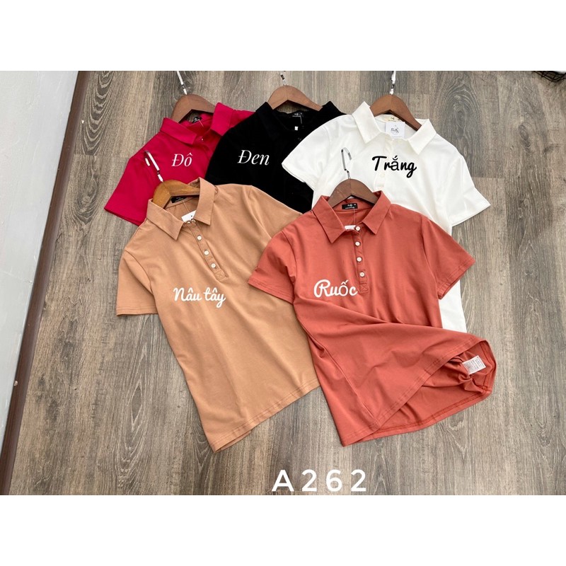 áo thun Polo t-shirt dư xịn vnxk siêu đẹp a262 | BigBuy360 - bigbuy360.vn