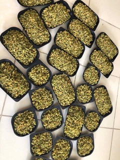Sỉ 5kg nho khô.