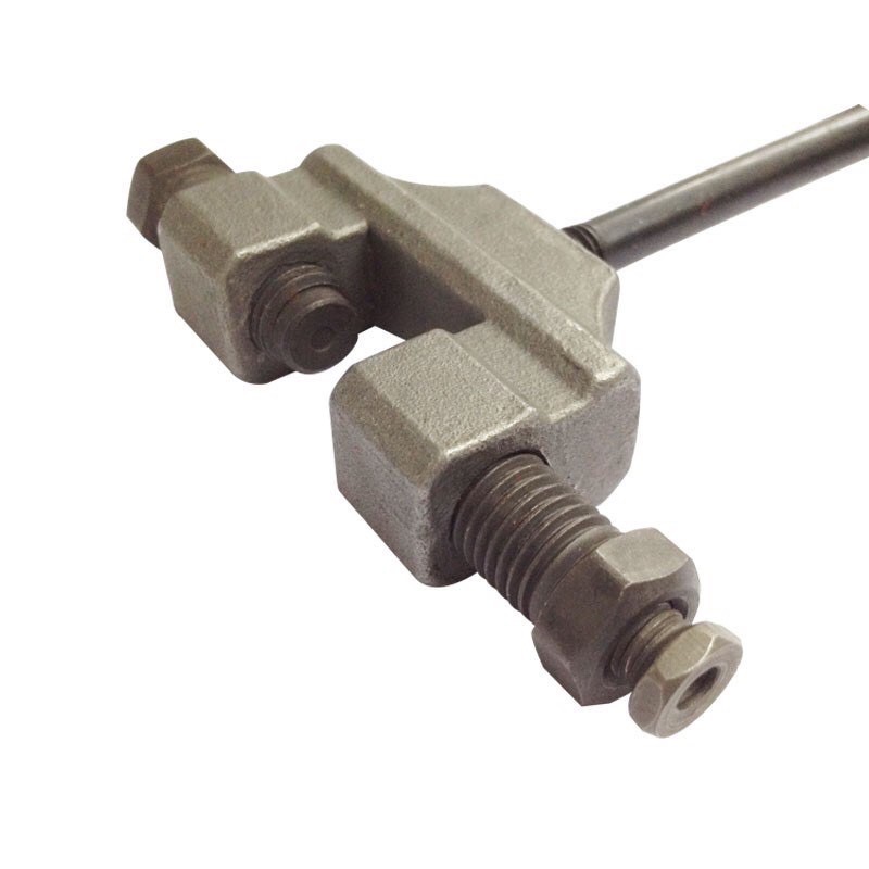 Cảo sên cam Century