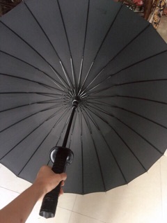 Dù che mưa kiểu dáng độc lạ