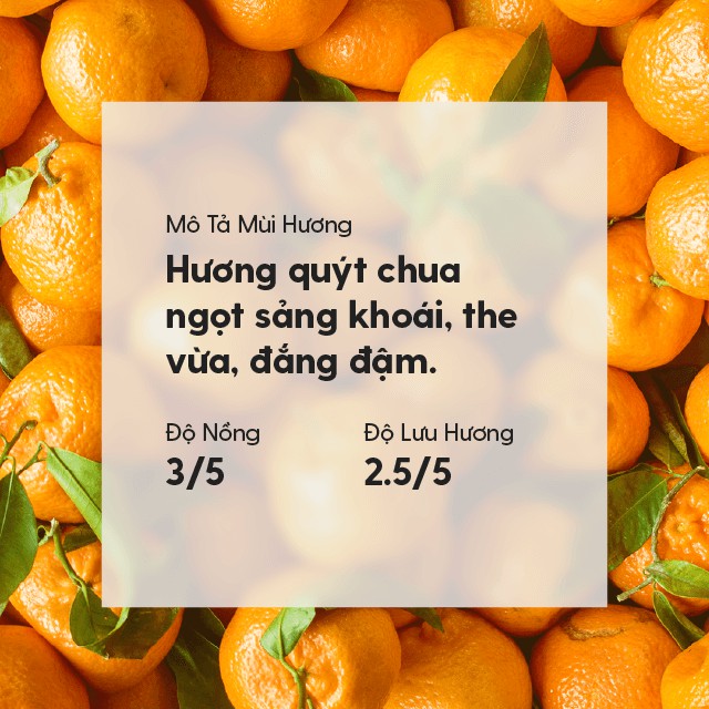 17 MÙI Tinh Dầu Diệt Khuẩn Làm Sạch Không Khí Organic Thiên Nhiên Nguyên Chất Đậm Đặc HENY GARDEN