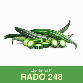 Lặc lày lai F1 Rado 248
