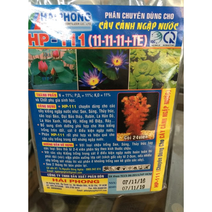 phân bón cho hoa sen và các loại cây cảnh ngập nước