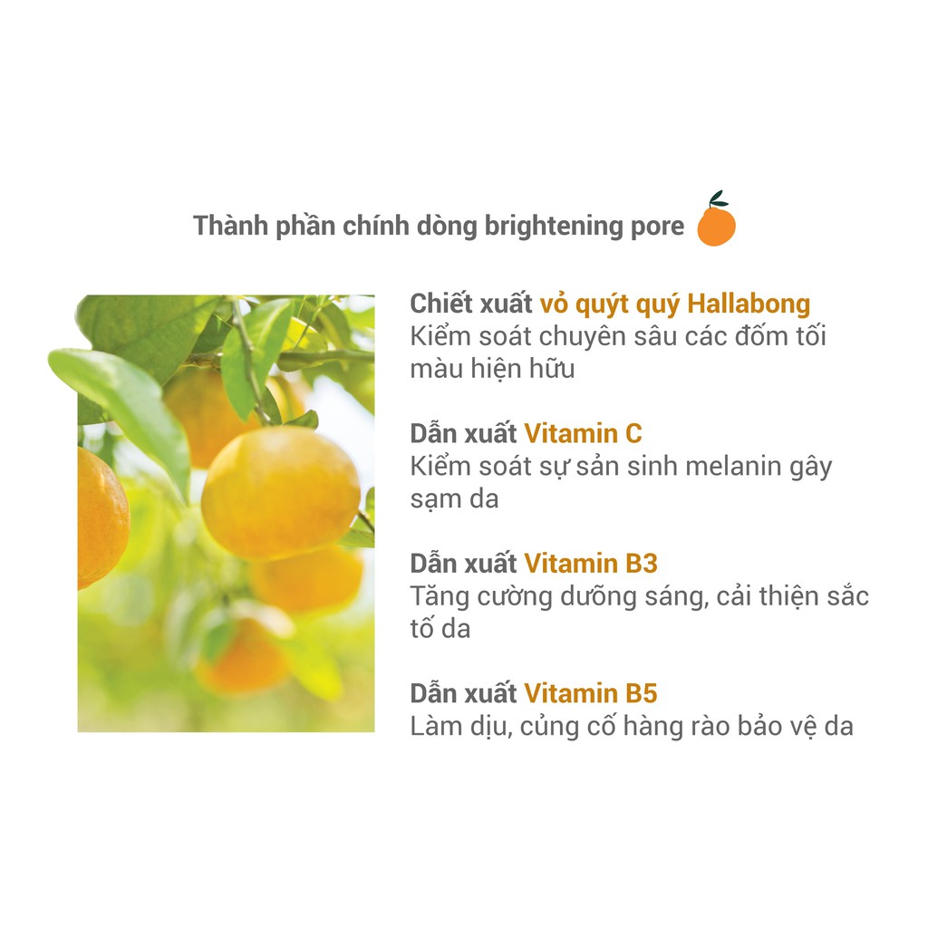 [Mã FMCG100K - 10% đơn 500K] Bộ sản phẩm dưỡng sáng và se khít lỗ chân lông innisfree Brightening Pore Serum Set | BigBuy360 - bigbuy360.vn