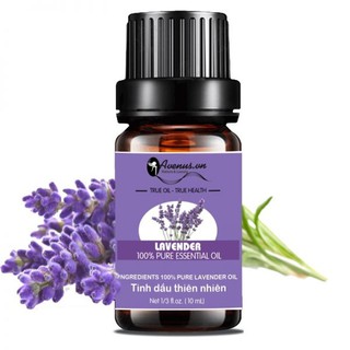 Tinh dầu Lavender Avenus nguyên chất chai 10ml