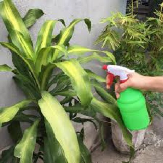 Bình tưới cây 1 lít