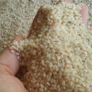 Vừng nõn vàng nghệ an