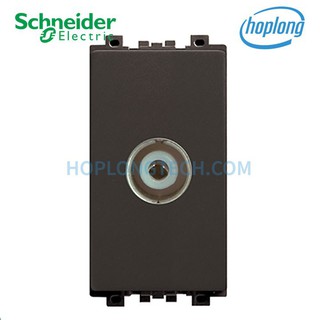 8431STV_BZ_G19 ZenceloA Scheneider Ổ cắm ti vi size S màu đồng