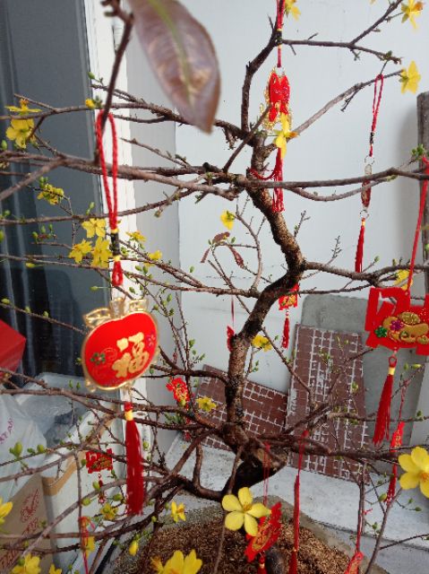 Set 6 Dây treo cây mai cây đào 20cm trang trí ngày Tết hàng nhập cao cấp