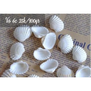 100gr vỏ sò trắng - Đọc kỹ mô tả