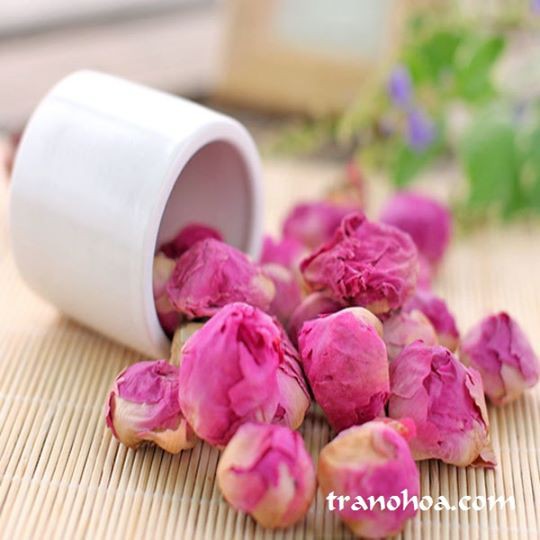 CHAI 50G HOA MẪU ĐƠN CHỌN LỌC