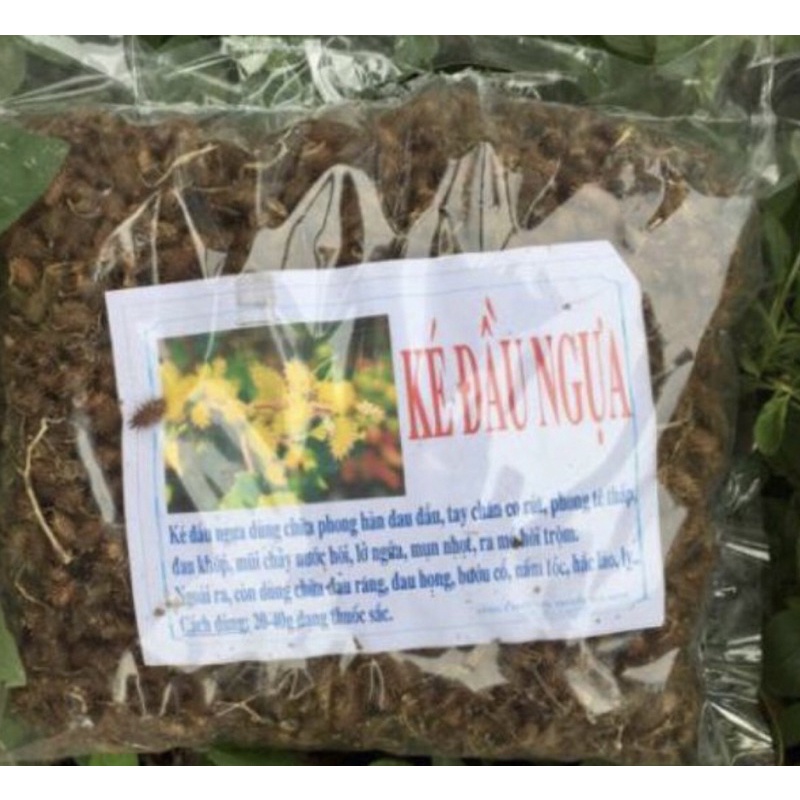 1Kg Quả ké đầu ngựa khô