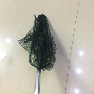 Vợt vớt cá