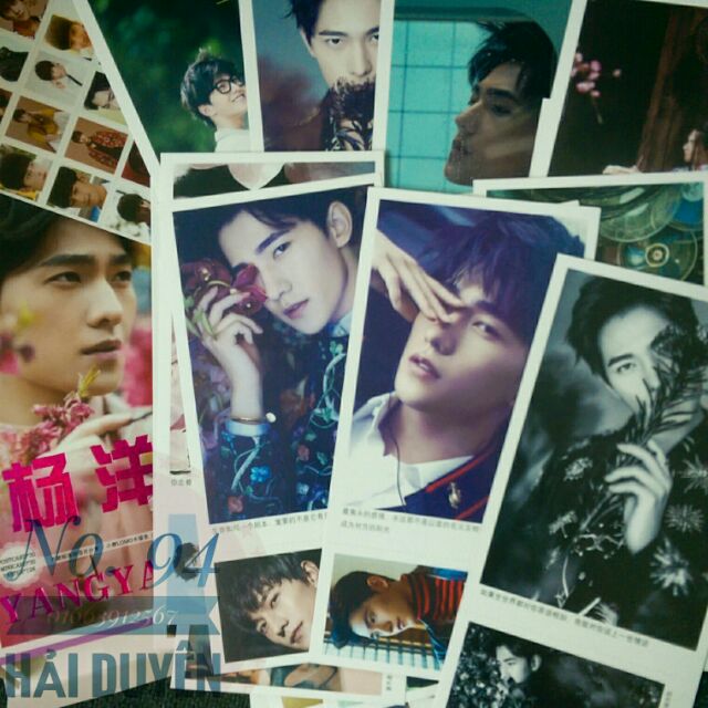 DƯƠNG DƯƠNG sticker, postcard, lomo (lẻ)