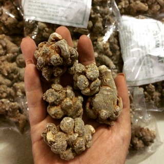 Củ tam thất bắc Lào Cai 