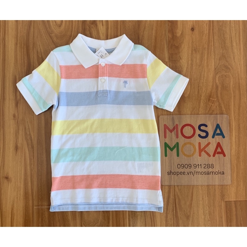 áo thun polo sọc pastel hm auth