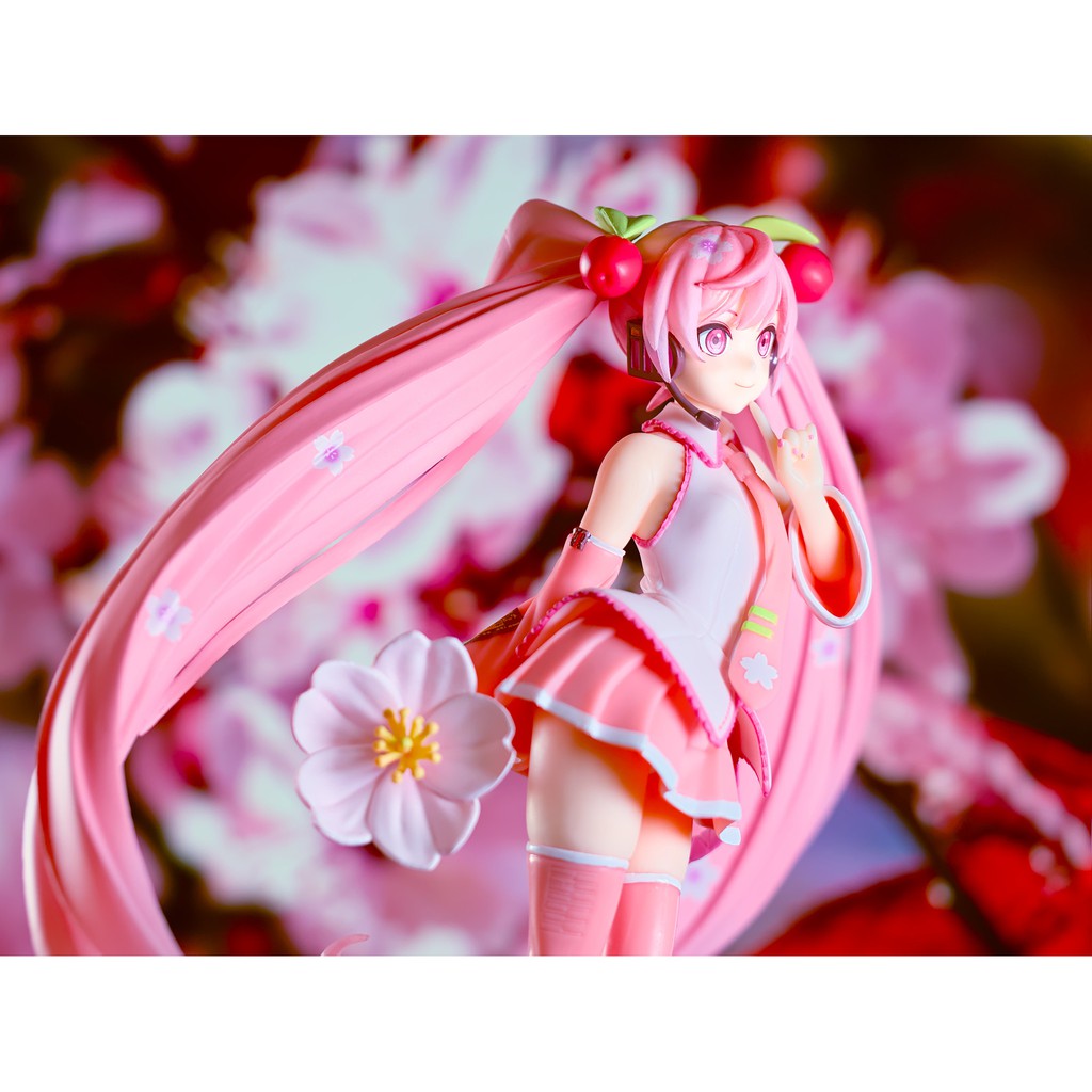 Mô Hình Figure Nhân Vật Anime Vocaloid - Hatsune Miku - Sakura, 2021 Ver., Taito, chính hãng Nhật Bản