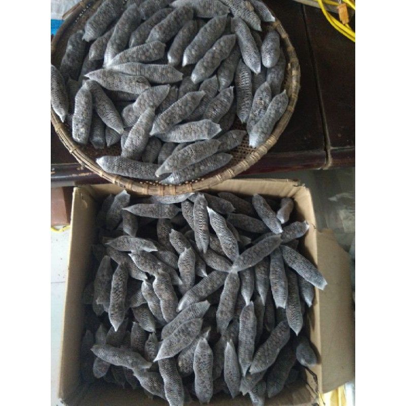 túi phân dê  bón cho Lan cây cảnh