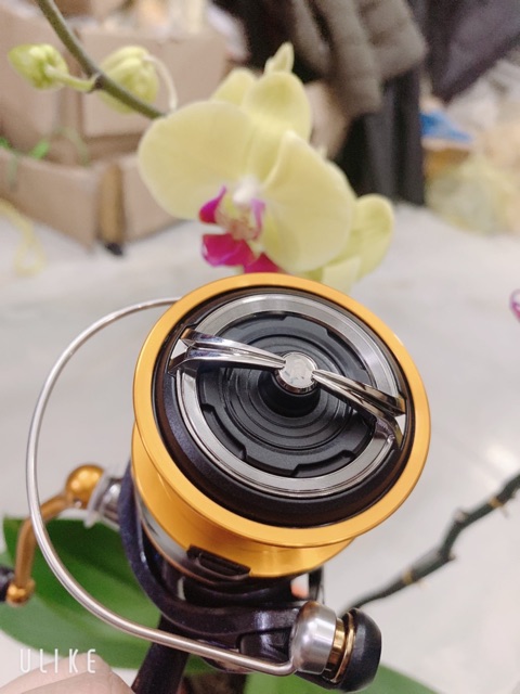 máy câu DAIWA Revros LT 6000 máy cực khoẻ y hình