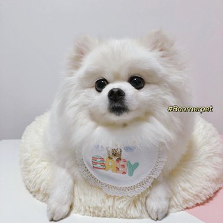 Yếm Đáng Yêu Cho Cún - PET0006